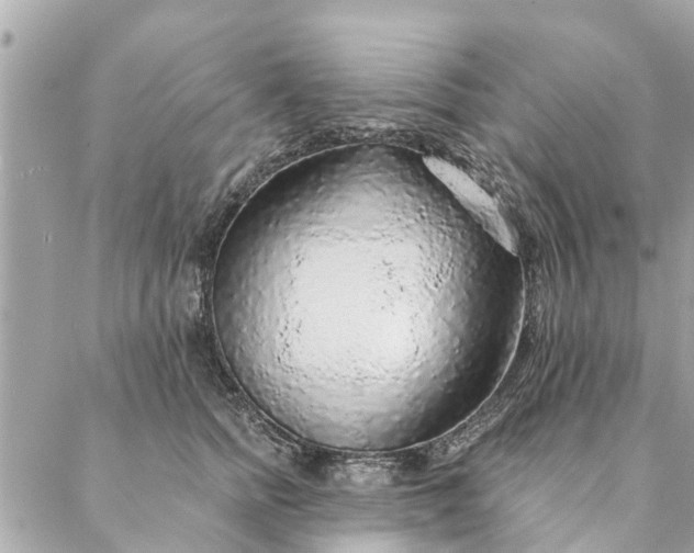 X0000087380758200705041945