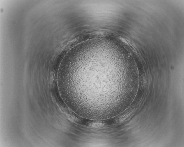 X0000087380759200705041945