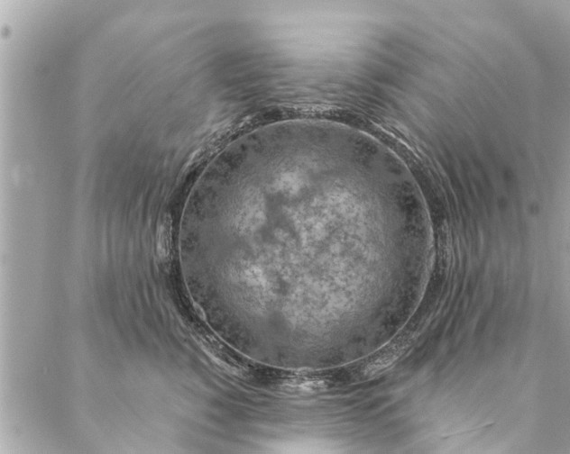 X0000087380760200705041945