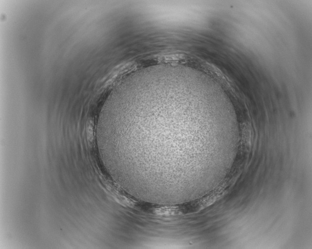 X0000087380761200705041945