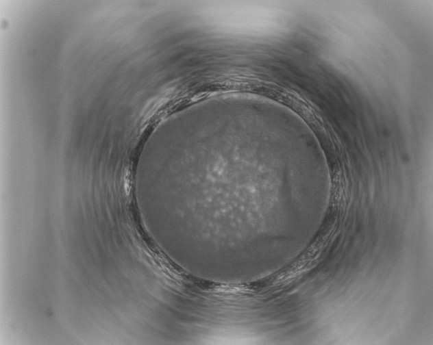 X0000087380762200705041945