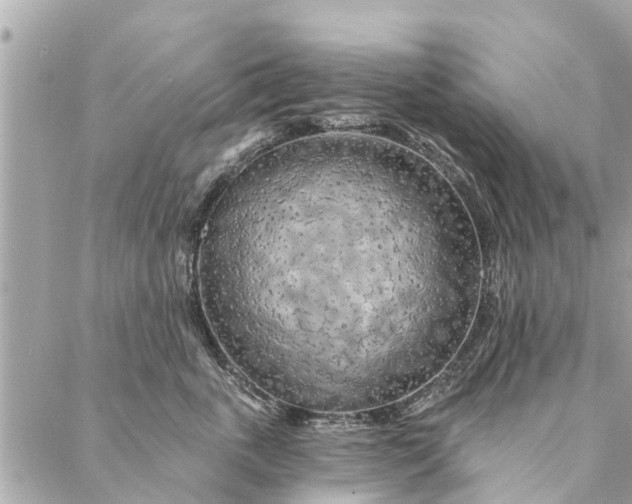 X0000087380763200705041945