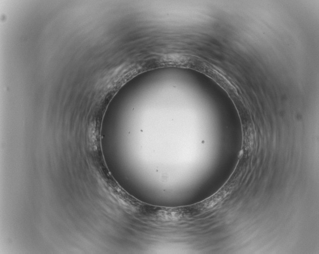 X0000087380764200705041945