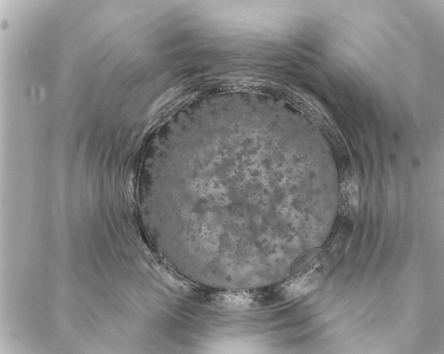 X0000087380765200705041945