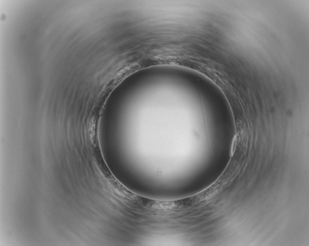 X0000087380767200705041945