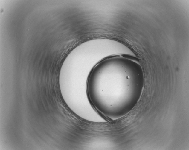 X0000087380768200705041945