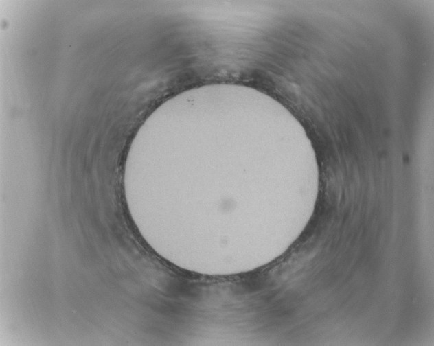 X0000087380769200705041944