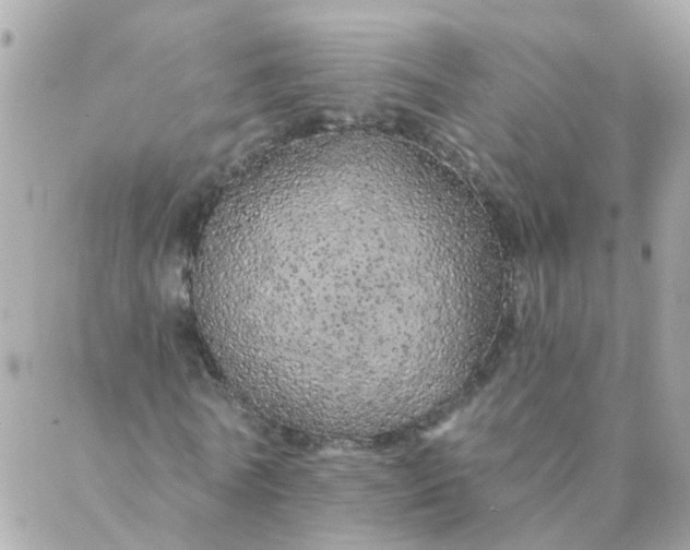 X0000087380770200705041944