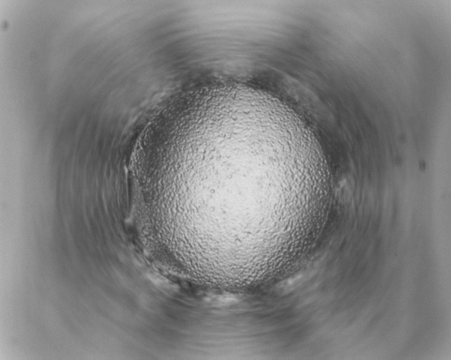 X0000087380772200705041944