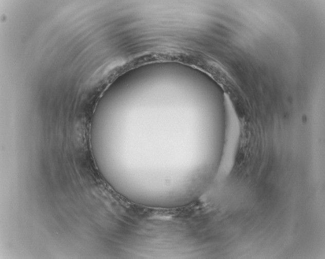 X0000087380773200705041944