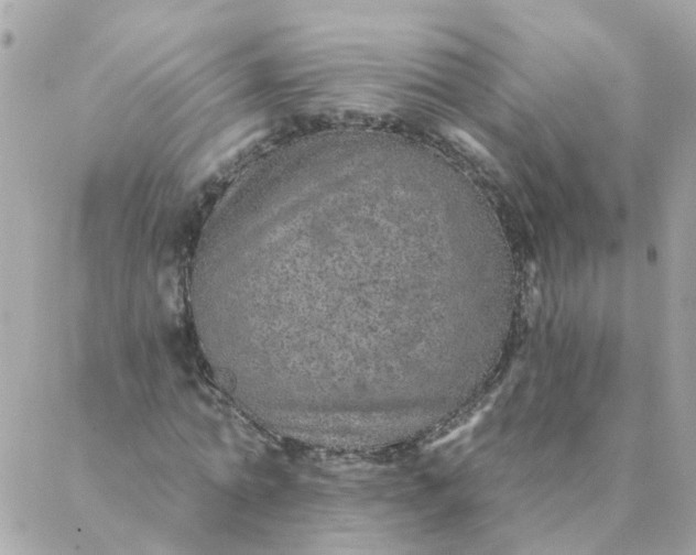 X0000087380774200705041944