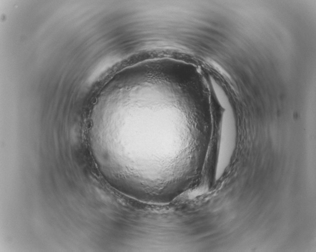 X0000087380775200705041944