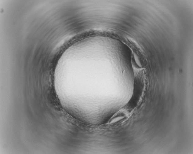 X0000087380776200705041944