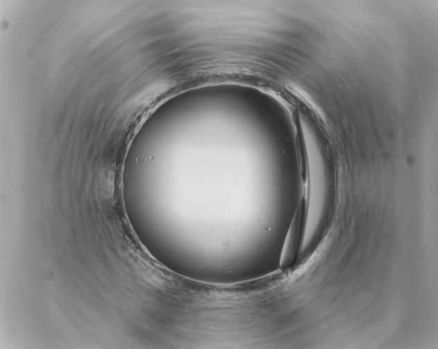 X0000087380777200705041944