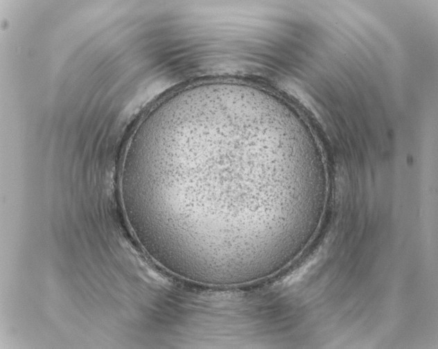 X0000087380778200705041944