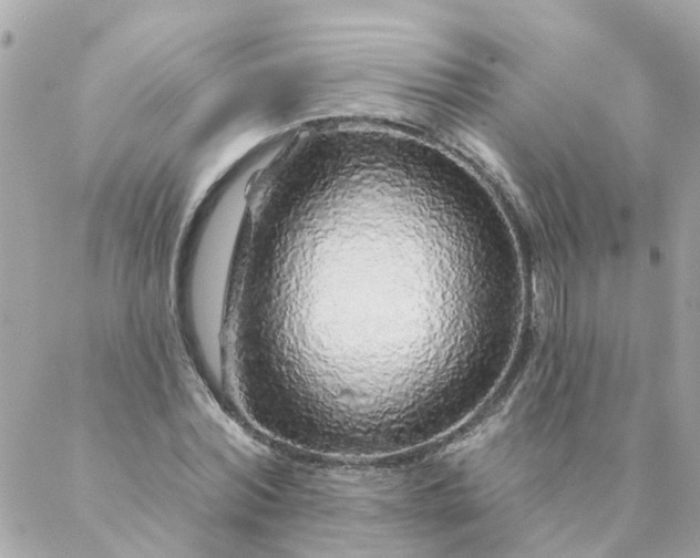 X0000087380780200705041944