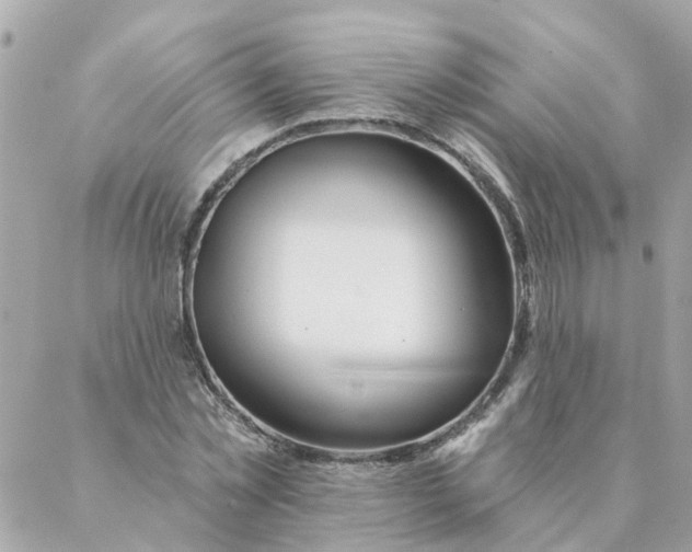 X0000087380781200705041944