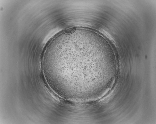 X0000087380782200705041944