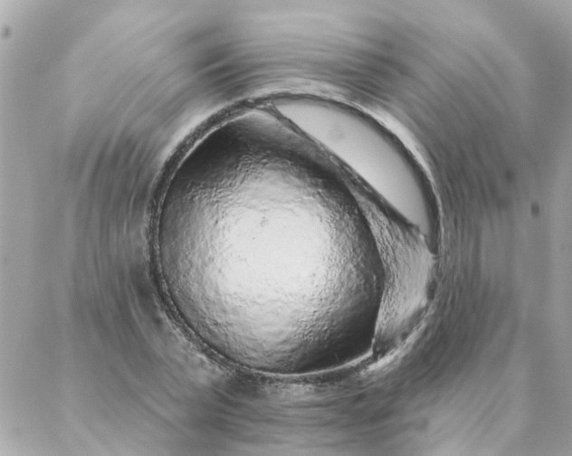 X0000087380783200705041944