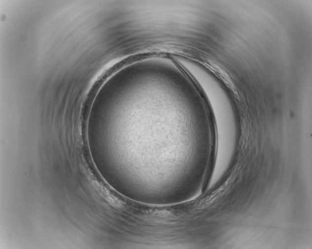 X0000087380784200705041944