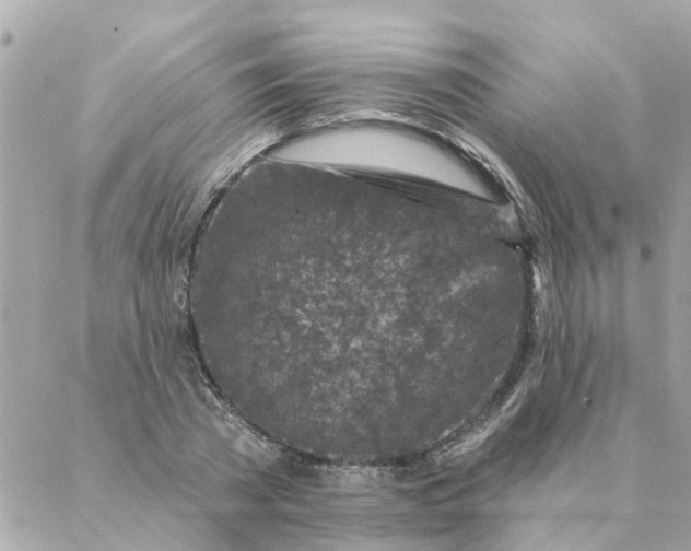 X0000087380785200705041944