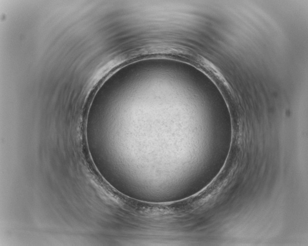 X0000087380786200705041944