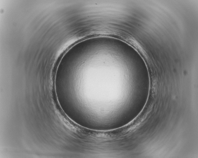 X0000087380787200705041944