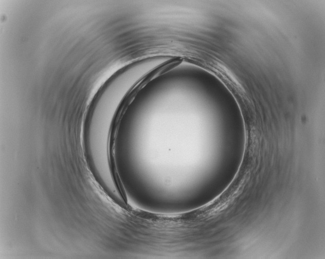 X0000087380788200705041944