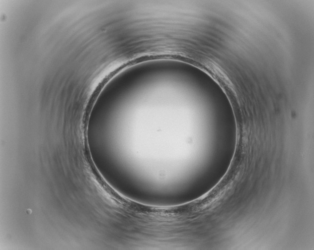 X0000087380789200705041944