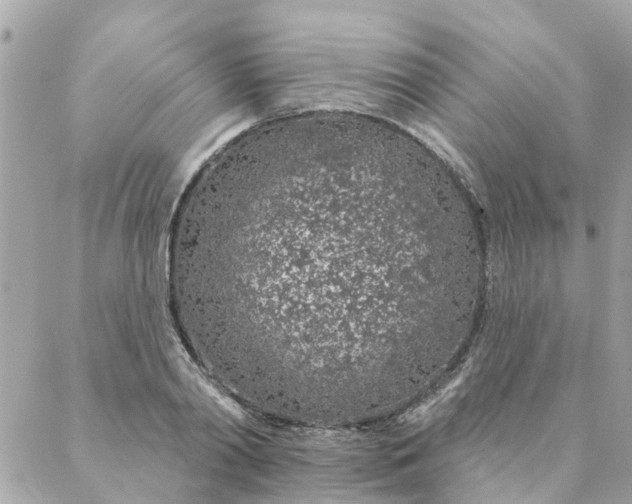 X0000087380790200705041944