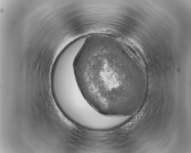 X0000087380792200705041944