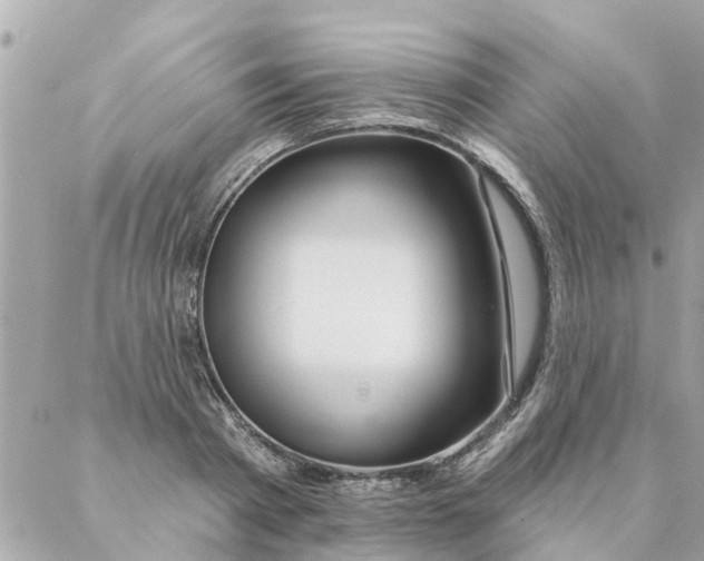 X0000087380793200705041944