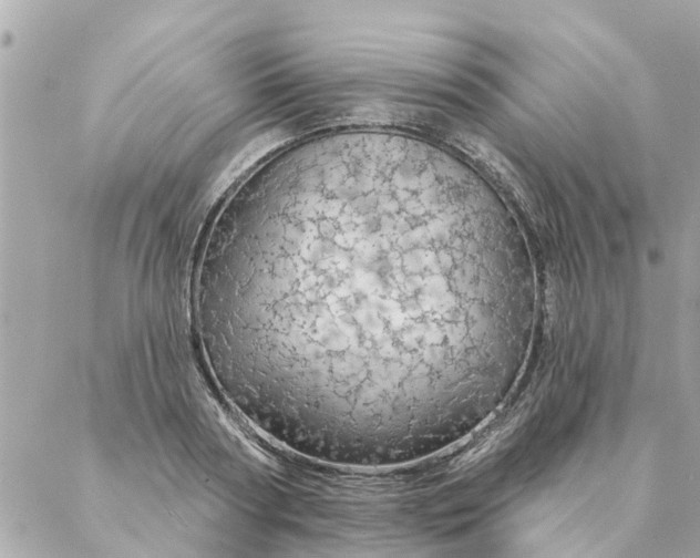 X0000087380794200705041944