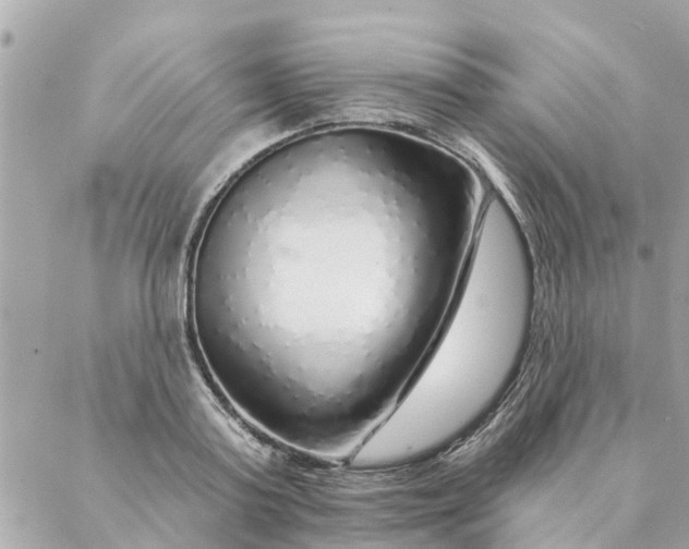 X0000087380795200705041944