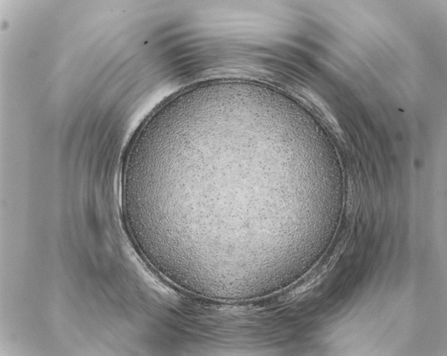 X0000087380796200705041944