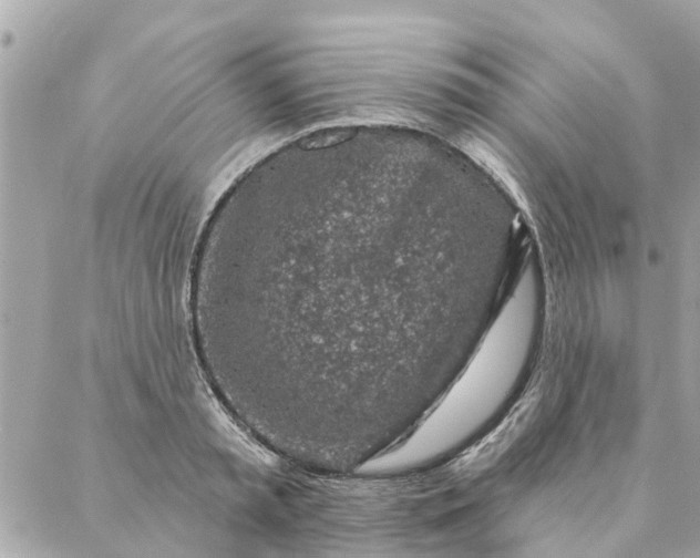 X0000087380797200705041944