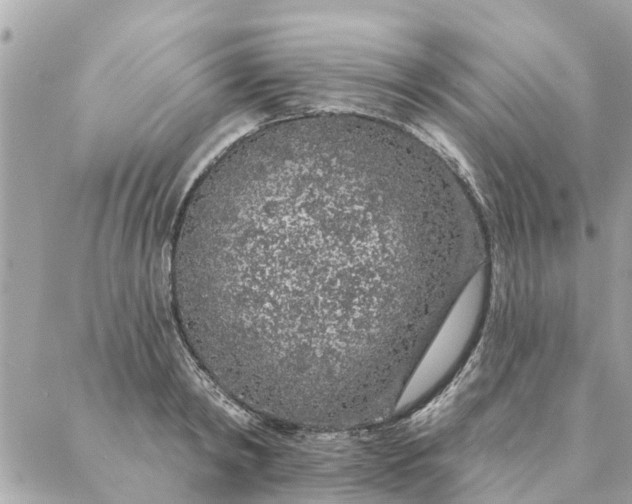 X0000087380798200705041944