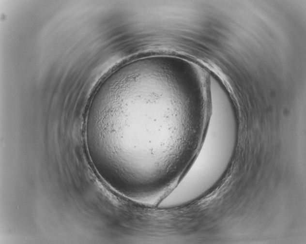 X0000087380799200705041944