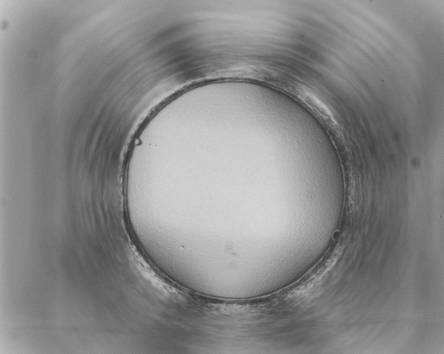 X0000087380800200705041944