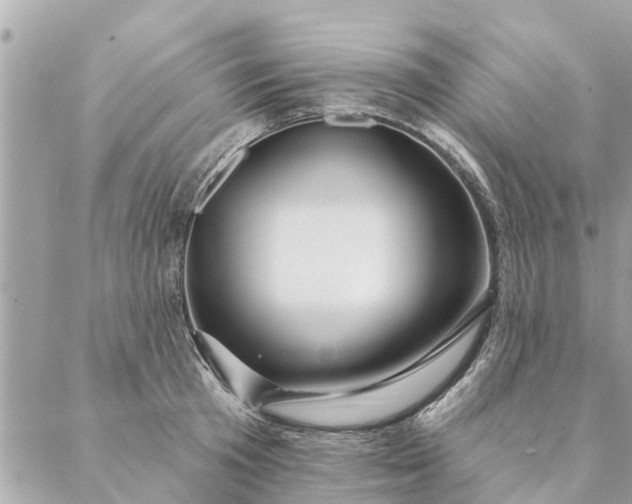 X0000087380801200705041944