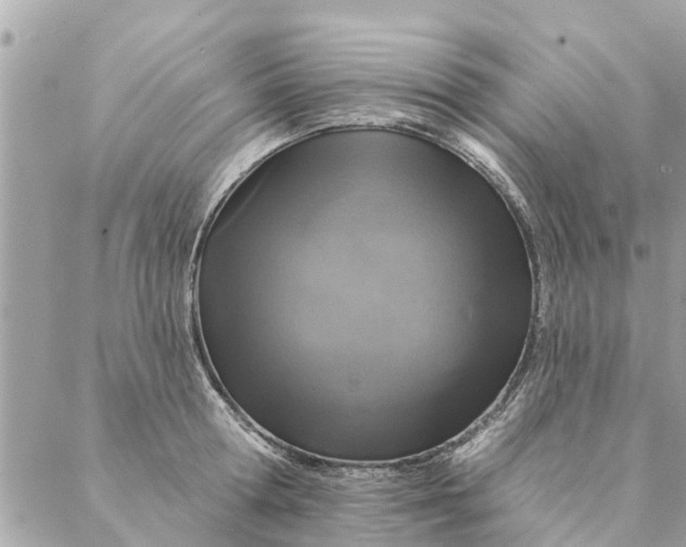 X0000087380802200705041944