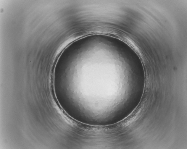 X0000087380803200705041944