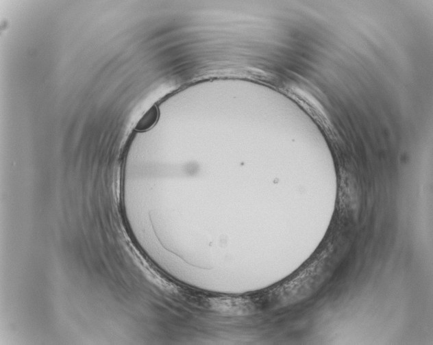 X0000087380804200705041944