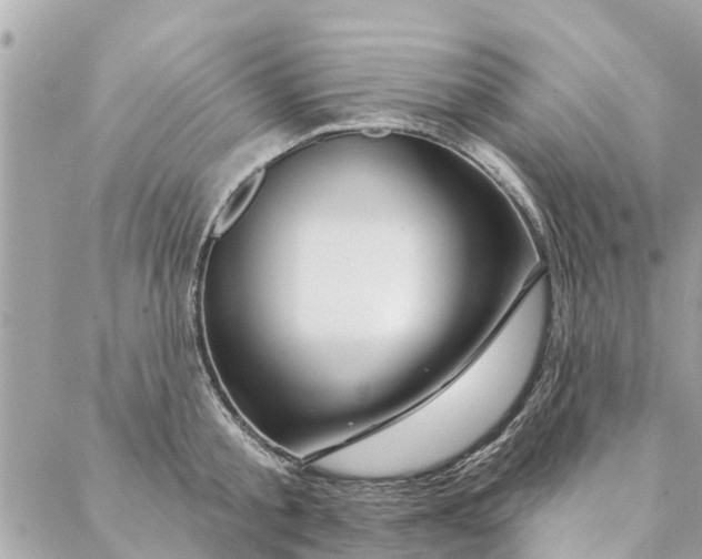 X0000087380805200705041944