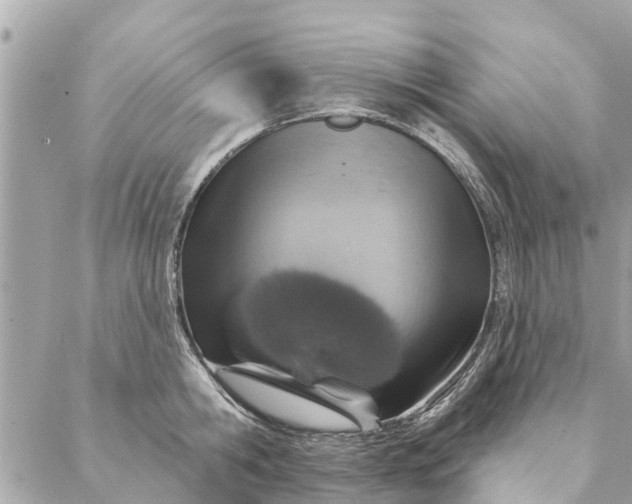 X0000087380806200705041944