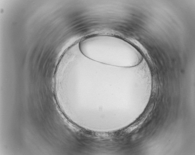 X0000087380807200705041944