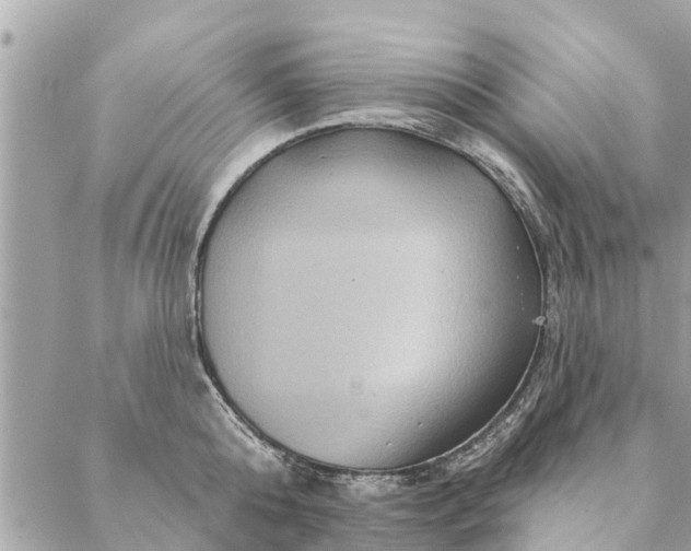 X0000087380808200705041944