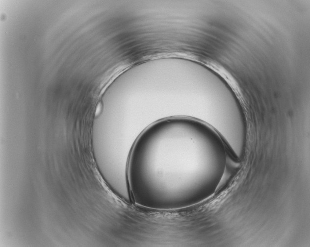 X0000087380809200705041944