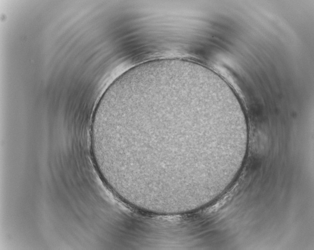 X0000087380810200705041944