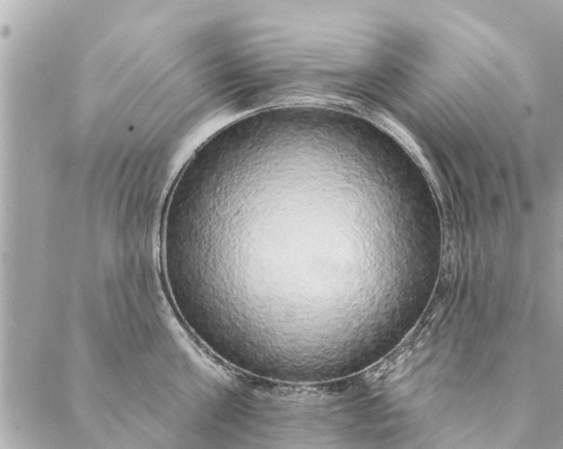 X0000087380811200705041944